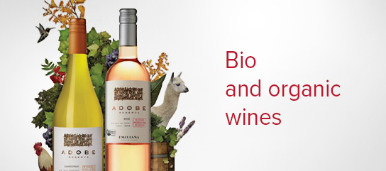 Bio and organic wines