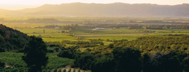 Úrodné údolia pre vína z Čile