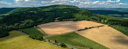 10 najlepších slovenských vín