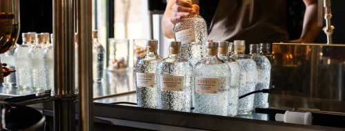 Ocenenie pre slovenskú destilérku aj vyladený gin TOISON
