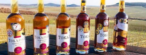Tipy na vína zo slovenského vinárstva Ostrožovič