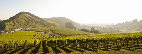 Objavte kúzlo Villa Maria Single Vineyards