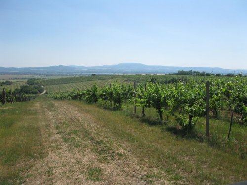 Château Belá
