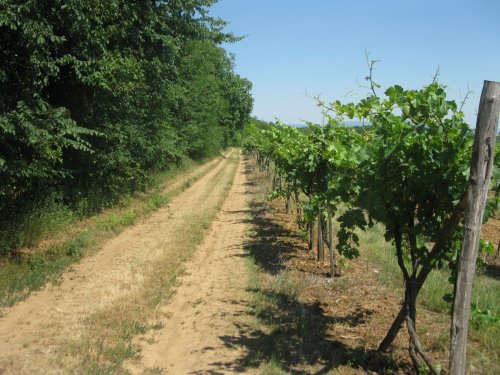 Château Belá