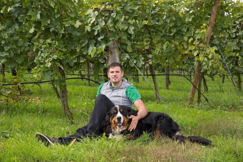 Weingut Frischengruber