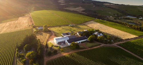 Winery header