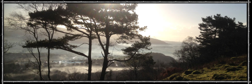 Winery header