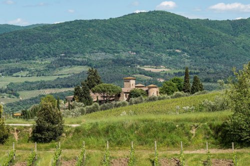 Winery header