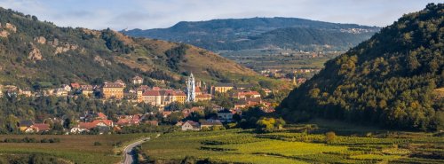 Winery header