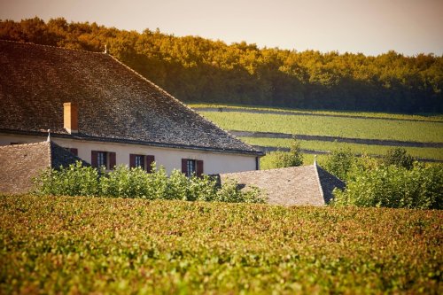 Winery header