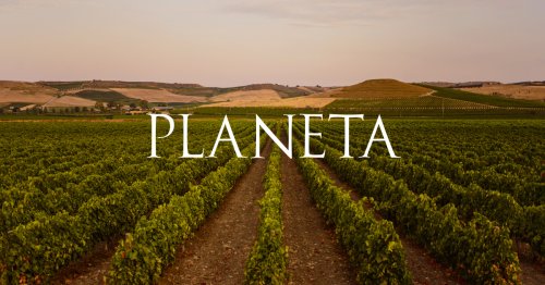 Winery header