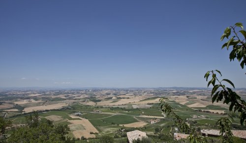 Winery header