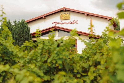 Vinidi